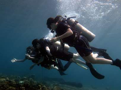 advanced adventurer SSI course calypso diving bali